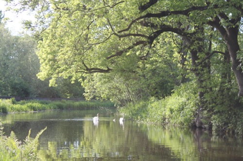 MonklandsCanal (Scotland)