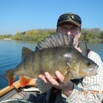 What a perch! A 4lb 1oz reservoir dog for Simon Brough, tempted on a Di-3 sinking line and his own roach pattern. Outstanding!  
