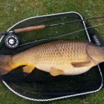Geoff Hadley fooled this lovely 15lb 4oz common carp with a pink egg fly