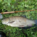 A fantastic chub of 6lbs 8oz caught by Clement B Booth from the Loddon on 4-weight gear. 