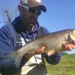 A fine canal chub for Martin Smith, on his deadly "Martin's Minnow" 